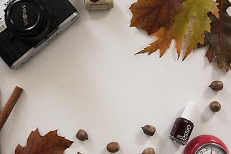 Autumn flat lay with vintage camera, leaves, and nail polish