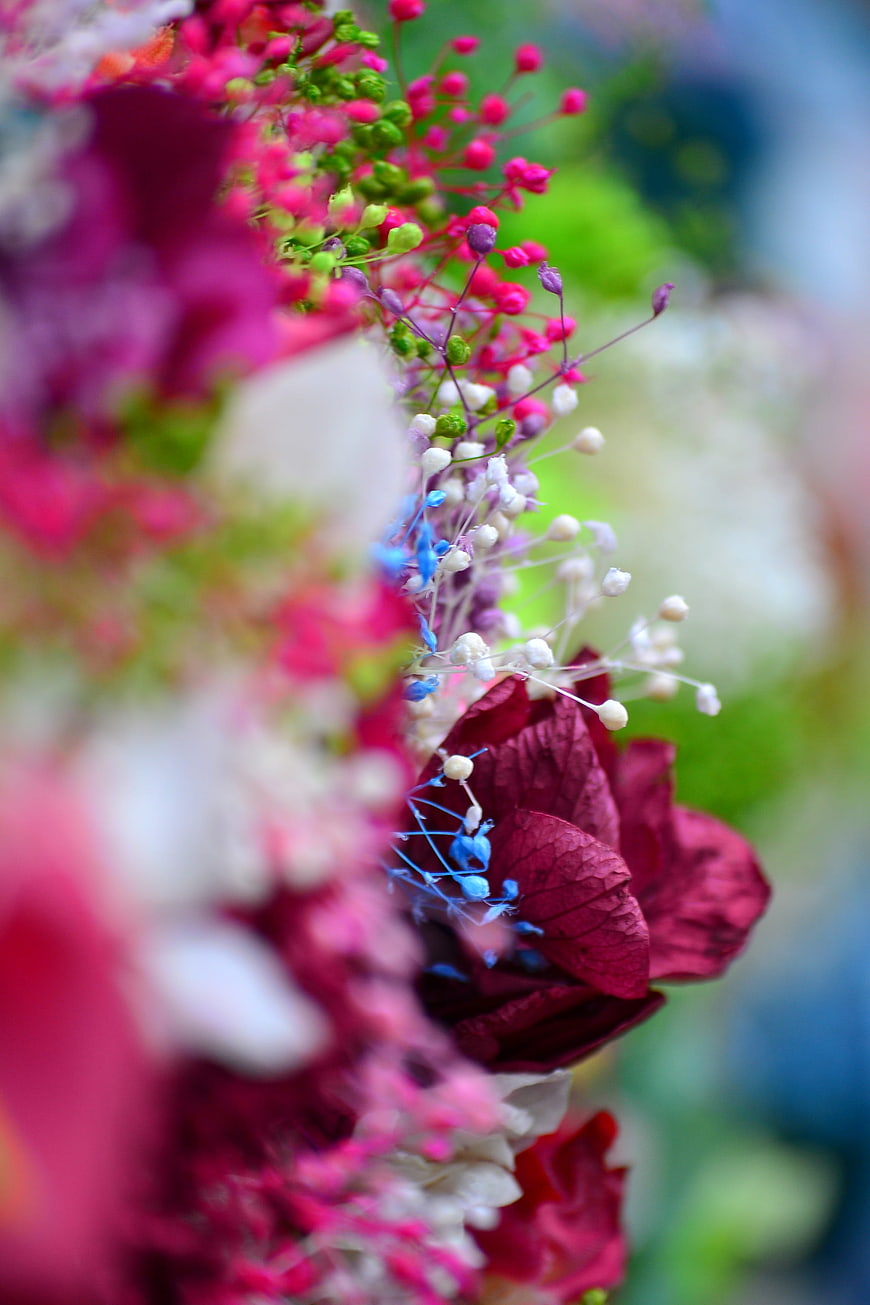 Close-up of vibrant pink and red flower bouquet with bokeh background
