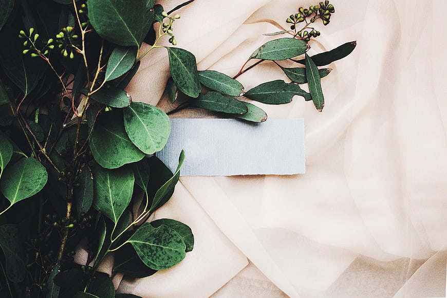 Eucalyptus leaves and blank card on beige fabric background
