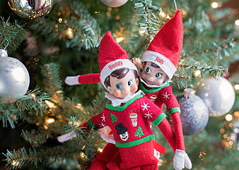 Christmas Elf Couple Named Buddy and Judy on Decorated Tree