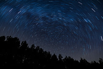 Star Trails Swirling Over Dark Forest Silhouette
