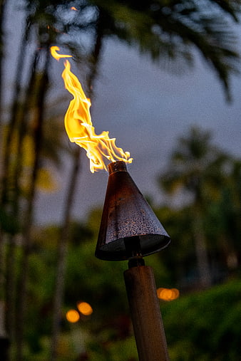 Tiki torch flame burning against blurred palm trees at dusk