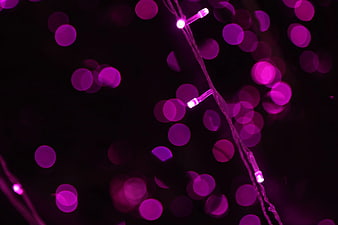 Purple String Lights Bokeh Background
