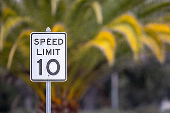 Speed Limit 10 Sign with Blurred Palm Tree Background