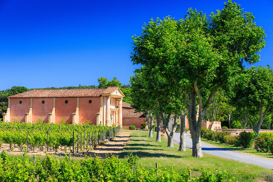 Sunlit vineyard rows leading to a rustic pink estate building