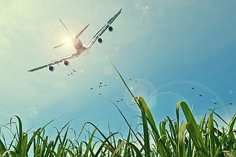 Airplane Taking Off Over Green Grass Field