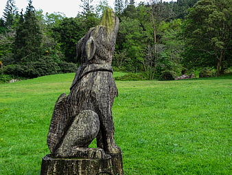 Wooden Dog Sculpture Howling in Green Park