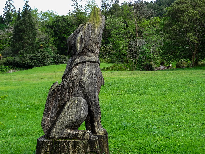Wooden Dog Sculpture Howling in Green Park