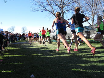 Female runners competing in a cross-country race on grass