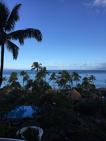 Tropical resort view with palm trees, pool, and ocean at dusk