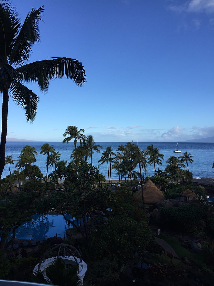 Tropical resort view with palm trees, pool, and ocean at dusk