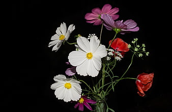 Colorful Wildflower Bouquet on Black Background