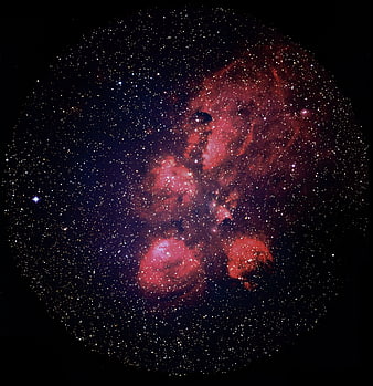 Cat's Paw Nebula NGC 6334 Deep Space Astrophotography