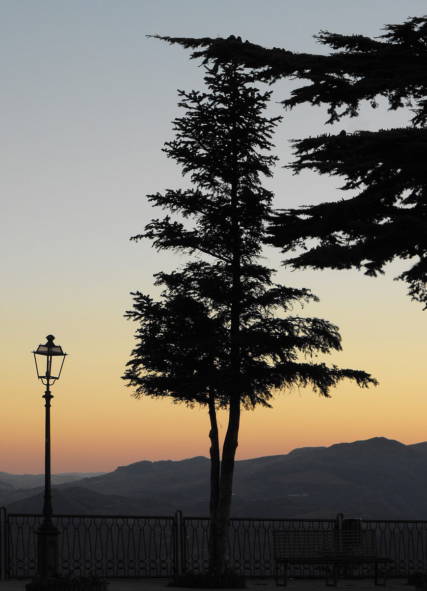 Silhouette of tall tree and lamp post against sunset mountains