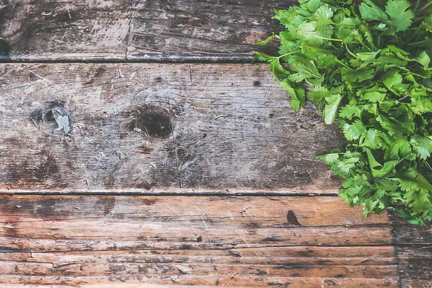 Fresh cilantro bunch on rustic wooden background