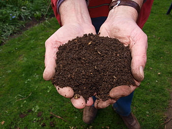 Hands holding rich dark compost soil in garden