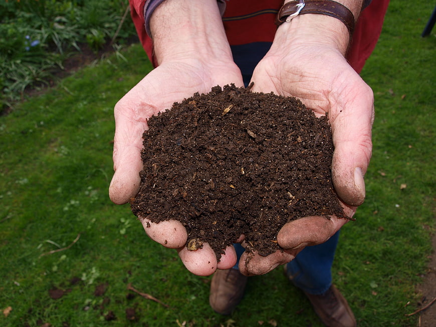 Hands holding rich dark compost soil in garden