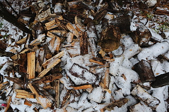 Pile of chopped firewood covered in snow