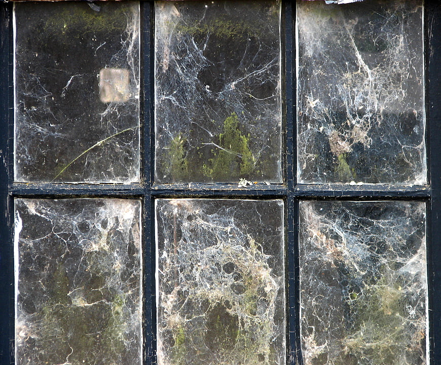 Old window pane covered in thick spider webs and dust