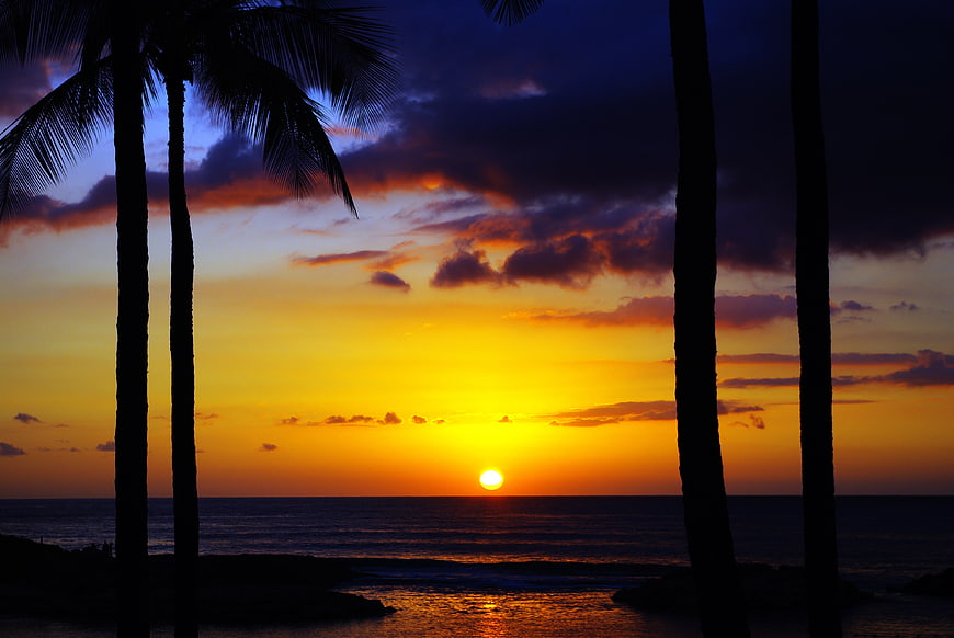 Tropical Sunset Silhouette with Palm Trees Over Ocean