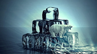 Polar Bear on Melting Ice Cubes Conceptual Art