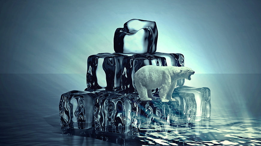Polar Bear on Melting Ice Cubes Conceptual Art