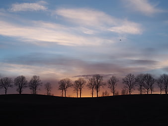 Silhouette of bare trees against a colorful sunset sky