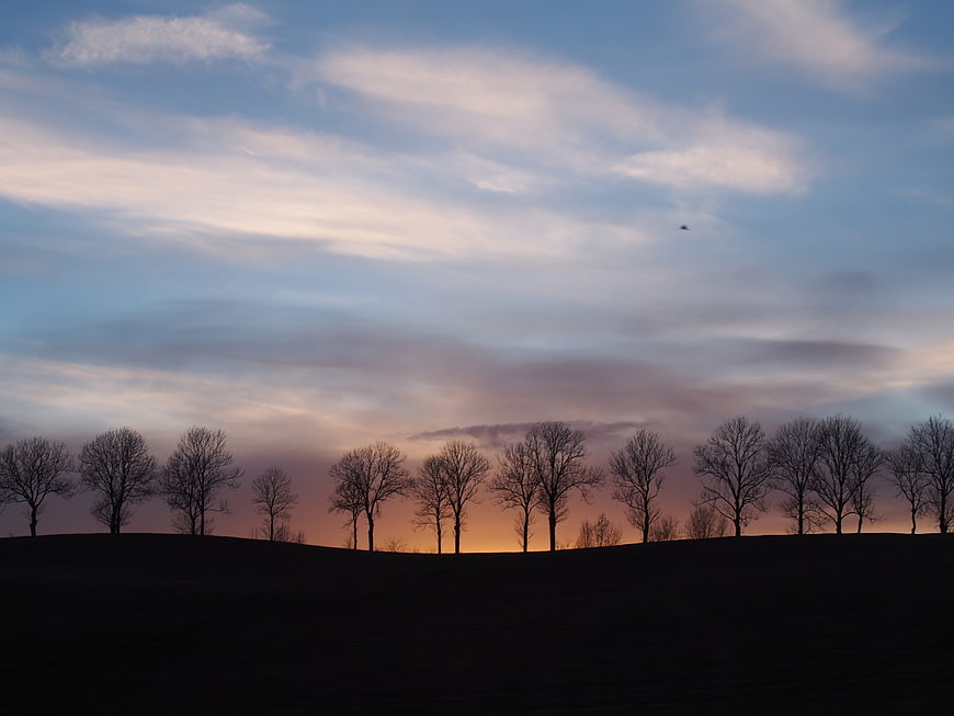 Silhouette of bare trees against a colorful sunset sky