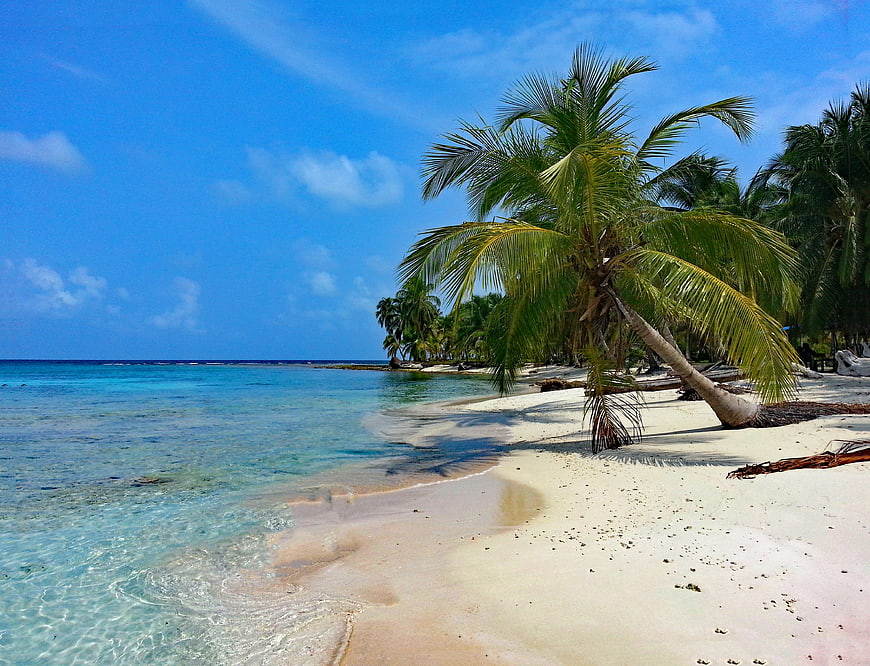 Tropical Beach with Palm Trees and Crystal Clear Turquoise Water