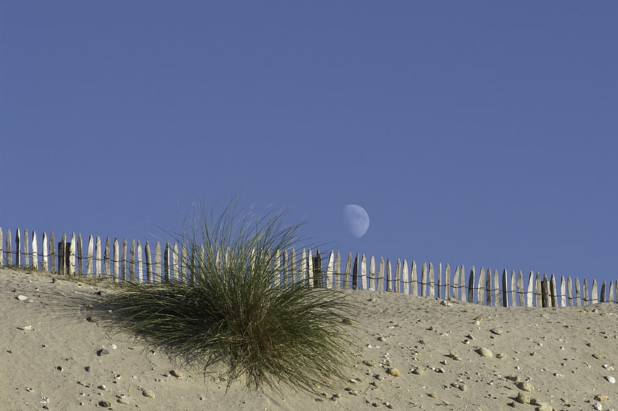 Sand dune with wooden fence and moon in blue sky