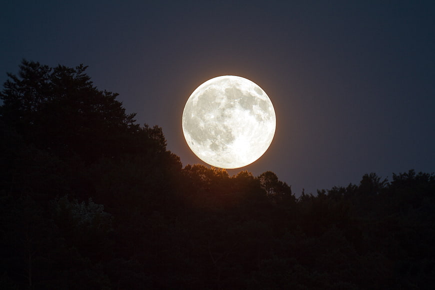 Giant Full Moon Rising Over Dark Forest Silhouette