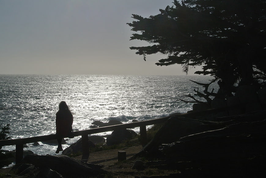 Silhouette of woman sitting on railing overlooking ocean