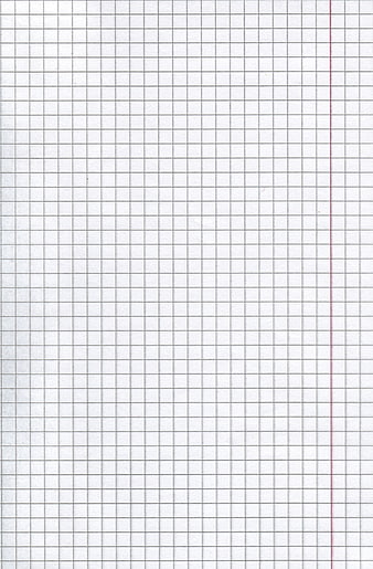 Blank grid paper background with red margin line