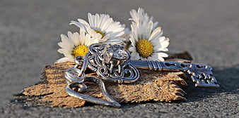 Vintage Silver Key and White Daisies on Wood