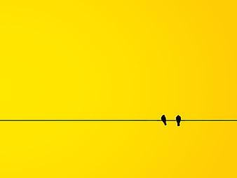 Minimalist Yellow Background With Two Birds On A Wire