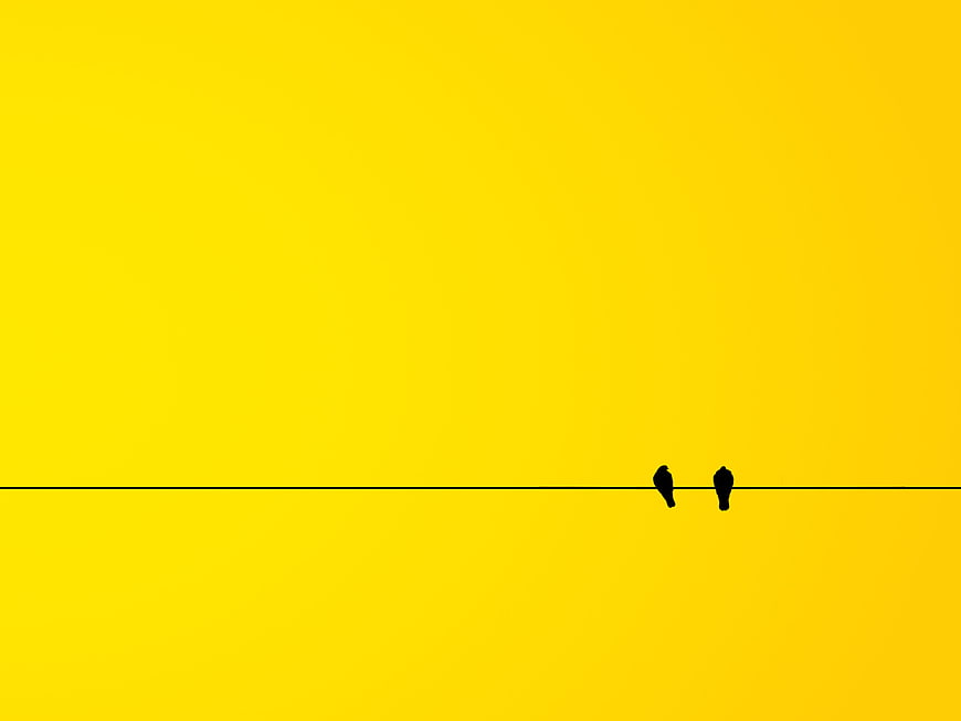 Minimalist Yellow Background With Two Birds On A Wire