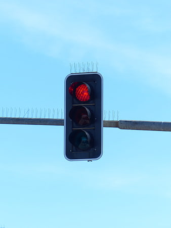Red traffic light signal against blue sky with anti-bird spikes