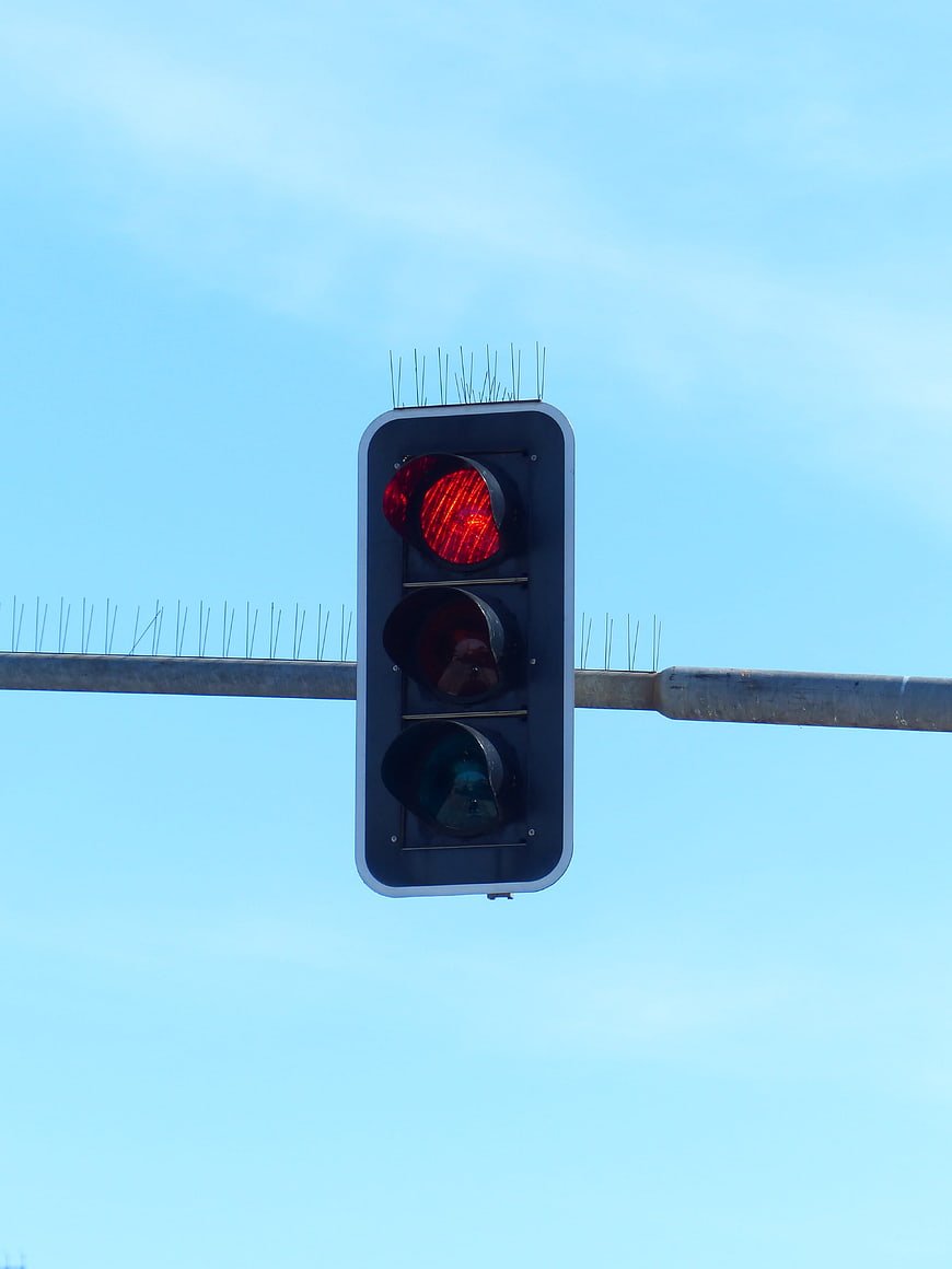 Red traffic light signal against blue sky with anti-bird spikes
