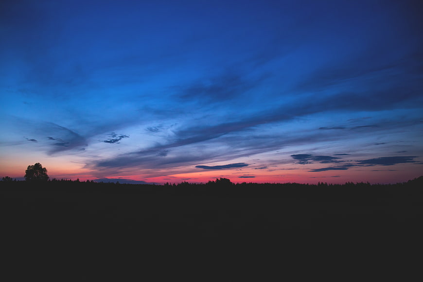 Dramatic Blue and Pink Sunset Sky Over Silhouette Forest