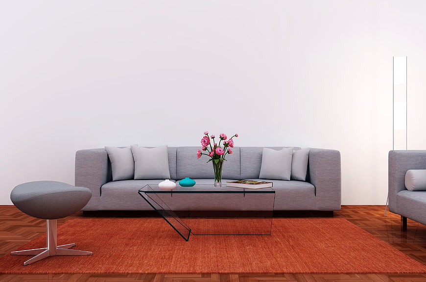 Modern Minimalist Living Room With Gray Sofa And Orange Rug