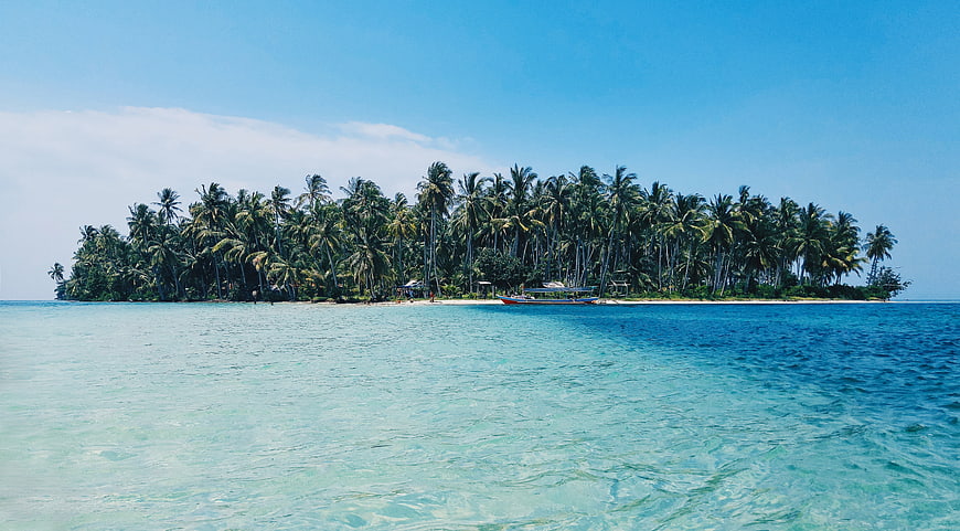 Tropical Island with Palm Trees and Turquoise Ocean Water