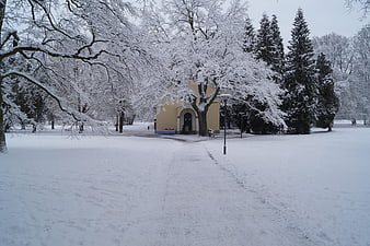 Snowy Park Path Leading to Yellow Building