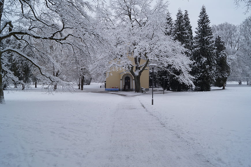 Snowy Park Path Leading to Yellow Building