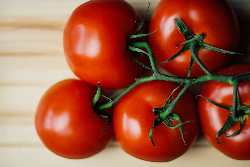 Fresh Red Tomatoes on Vine Close-Up