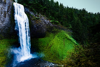 Majestic waterfall cascading into a pool in a lush green forest