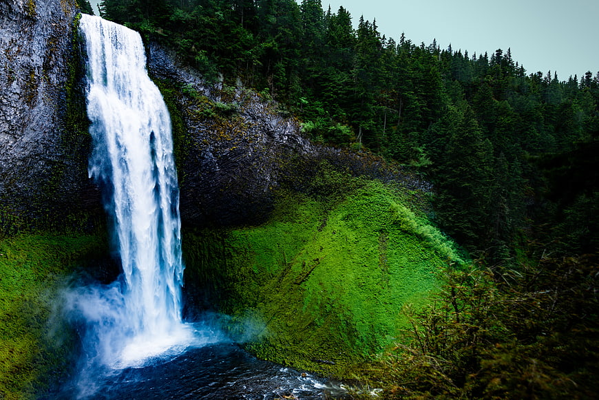 Majestic waterfall cascading into a pool in a lush green forest