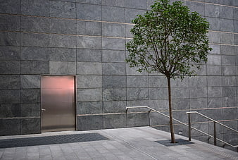 Modern gray stone wall with metal door and tree
