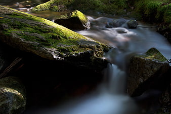 Mossy Rocks and Flowing Stream in Forest