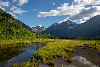 Scenic Alaska River Valley with Snow-Capped Mountains