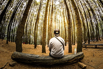 Man sitting on log in tall pine forest looking at sunlight